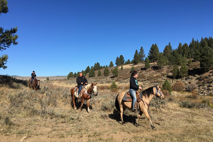 Sierra Historic Tour from Reno - Photo 1 of 10